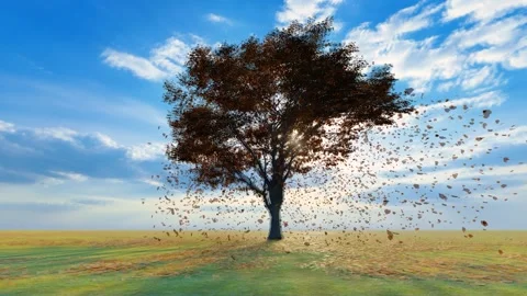 Seasonal changes in spring, summer, autumn and winter Stock Footage 218419004