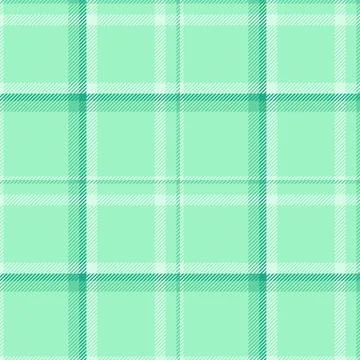 Seasonal check pattern vector, african tartan textile fabric. Asymmetric te.. 库存插图