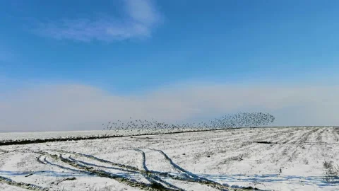 Seasonal concept Stock Footage 148346313