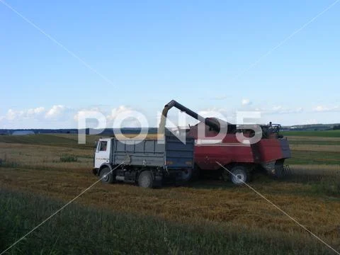 Seasonal: Harvester unloading to a car Stock Photos