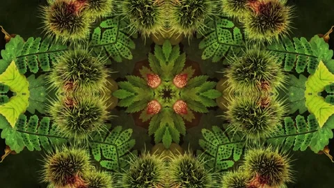 Seasonal Leaves Pattern 01 Video stock 294058384