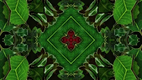 Seasonal Leaves Pattern 06 Video stock 294058424