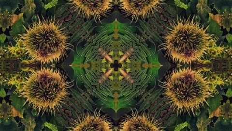 Seasonal Leaves Pattern 07 Stock Footage 294058449