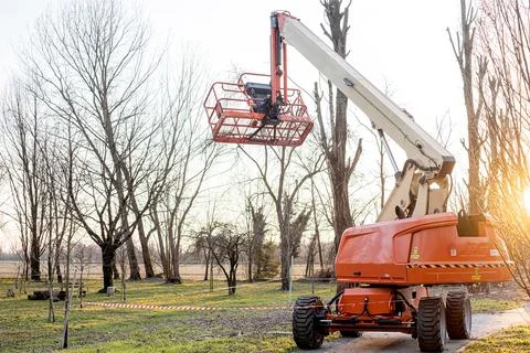Seasonal tree pruning with a lifting work platform of car crane. Cutting Stock Photos