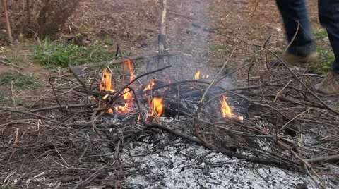 Seasonal work 스톡 동영상 45378972