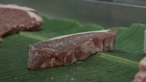 Seasoning the meat Video stock 90648549