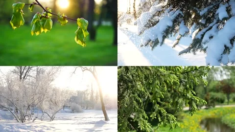 Seasons - a collage depicting nature at different times of the year. Stock-Footage 323358560