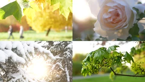 Seasons - collage with the image of nature at different times of the year. 库存影片 237375399