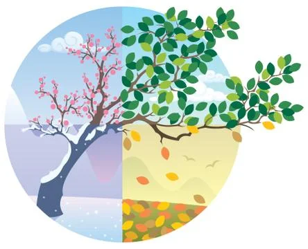 Seasons Cycle Stock Illustration