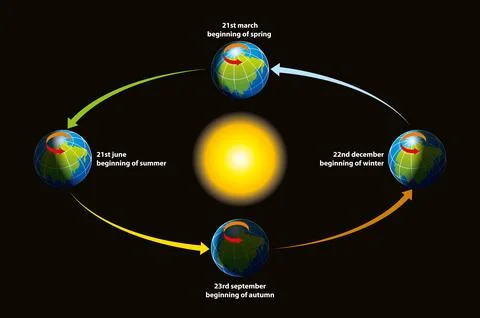 Seasons Diagram Stock Illustration
