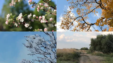 Seasons, four seasons - winter, spring, summer, autumn. Video stock 68144471