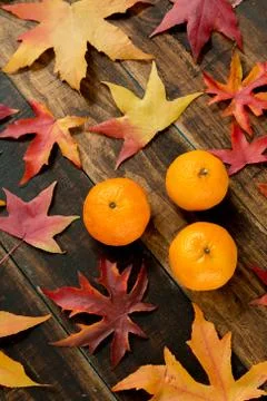 Seasons fruit Stock Photos