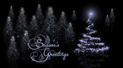 Seasons Greetings Reflective Trees Stock Footage 33045464