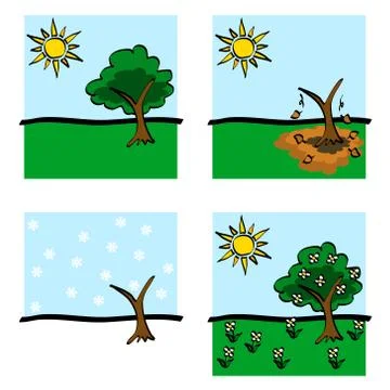 Seasons  Icons Illustrazione stock