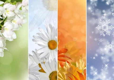 Seasons Stock Photos