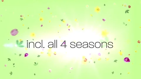 Seasons Titles 스톡 After Effects