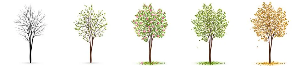 Seasons of tree vector background Stock Illustration