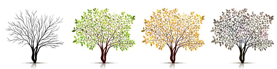 Seasons of tree vector Stock Illustration