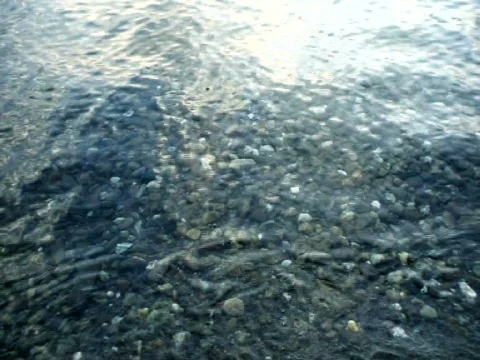 Seastones Stock Footage 449942