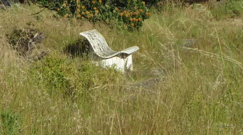 Seat back to nature 库存影片 585175