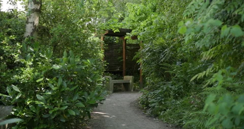 A seat in the forest Video stock 242490472