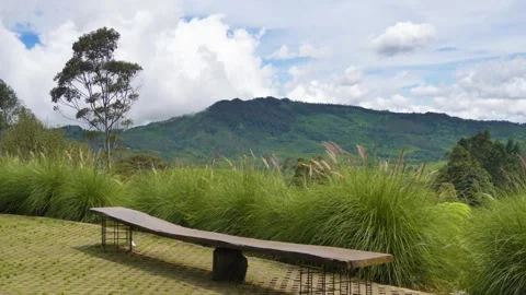 Seat Mountain Stock Footage 274441206