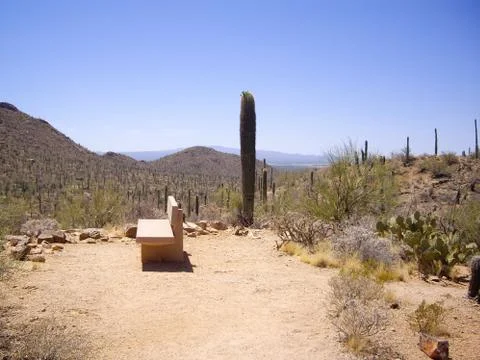 A seat with a view Foto stock