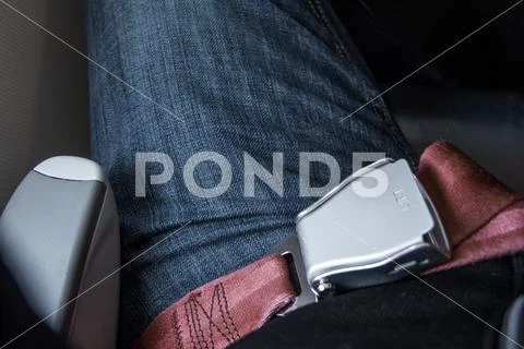 Seatbelt Stock Photos