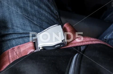 Seatbelt Stock Photos