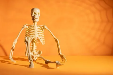 Seated skeleton with giant spiderweb shadow on orange background for Hallow.. Fotos de archivo