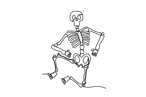 A seated skeleton with legs bent Stock Illustration