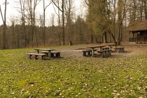 Seating area in the forest Stock Photos