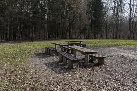 Seating area in the forest Stock Photos