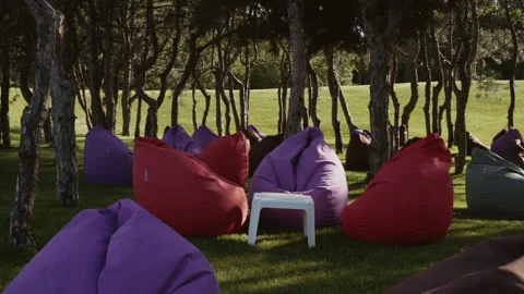 A seating area of soft seats is located in the shade of pine trees in the park Vídeos de archivo 341437098