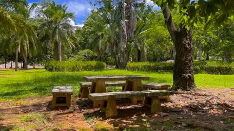 A seating area with a stone table and benches in a tropical park Stock Photos