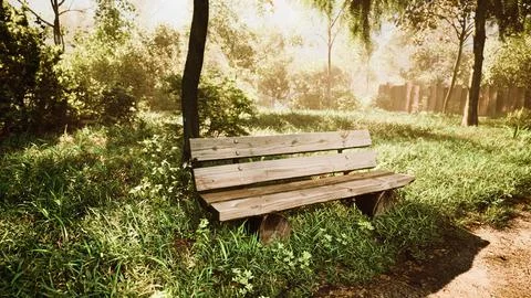 Seating area on the Valley walking trail Ilustração Stock