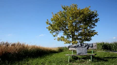Seating bench with shirt Stock Footage 8920689