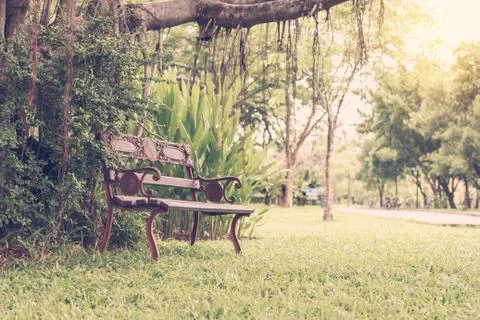 Seating chairs in park. Stock Photos