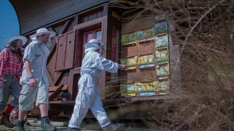 Seating in front of a beehive Video stock 49437239