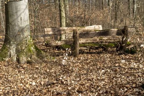 Seating group in the forest in the sunlight Stock Photos