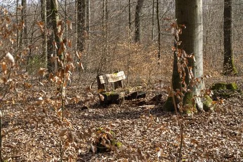 Seating group in the forest in the sunlight Stock Photos