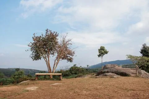 Seats and trees at sky. 스톡 사진