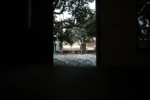 The seats are lined with black frames right and left Stock Photos