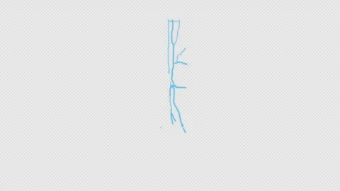 Seattle City Line Map Self Drawing Animated Overlay, Alpha 4K Видео 340286774