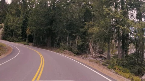 Seattle Forest highspeed2 Stock Footage 102081546