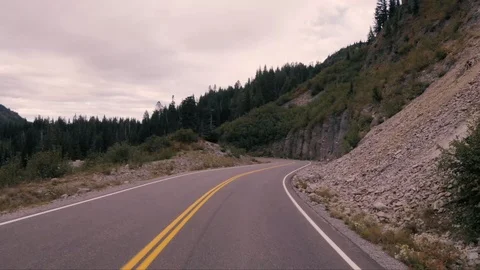 Seattle Forest highspeed3 스톡 동영상 102081547