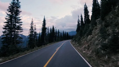 Seattle Forest highspeed4 스톡 동영상 102081537