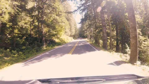 Seattle Forest1 Stock Footage 102081550