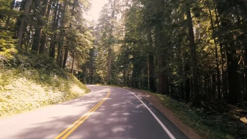 Seattle Forest4 highspeed 스톡 동영상 102081543