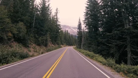 Seattle Forest6 스톡 동영상 102081558